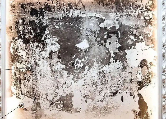 Des Beaux-arts Toulouse